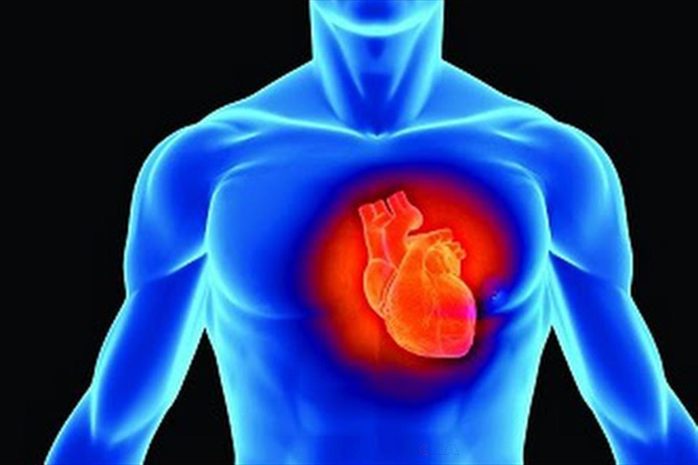 "Dünya nüfusunun yüzde 25’i kalp damar hastalıklarının etkisi altında"